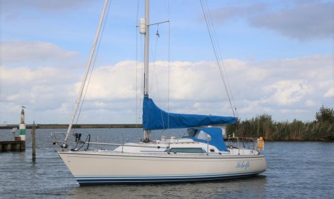 Winner 950, Sailing Yacht for sale by Schepenkring Lelystad