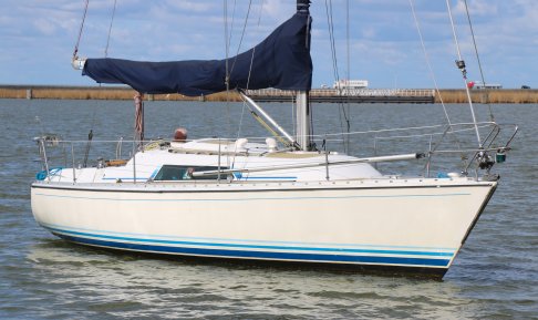 Winner 950, Sailing Yacht for sale by Schepenkring Lelystad
