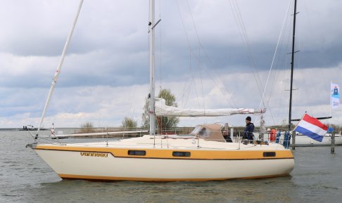 Piewiet 1050, Zeiljacht for sale by Schepenkring Lelystad