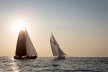Pilot Cutter 8.50