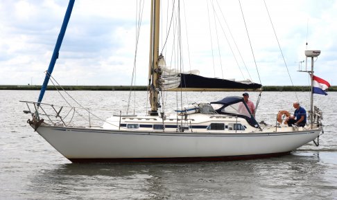 Raider 35, Zeiljacht for sale by Schepenkring Lelystad