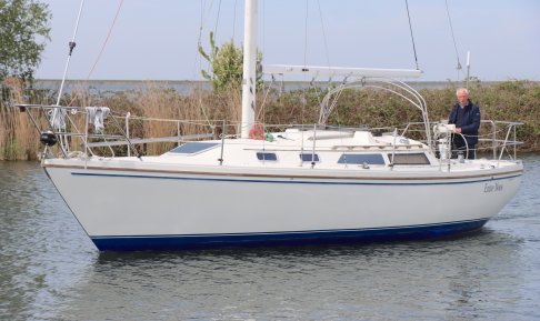 Catalina 30, Sailing Yacht for sale by Schepenkring Lelystad
