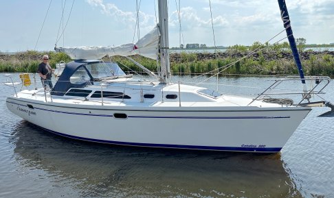 Catalina 320, Sailing Yacht for sale by Schepenkring Lelystad