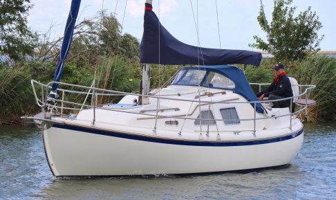 Midget 26, Sailing Yacht for sale by Schepenkring Lelystad