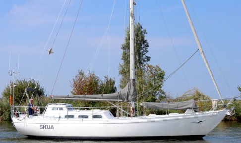 Skua 42, Segelyacht for sale by Schepenkring Lelystad