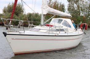 Dehler 31