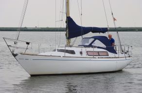 Sirocco 31