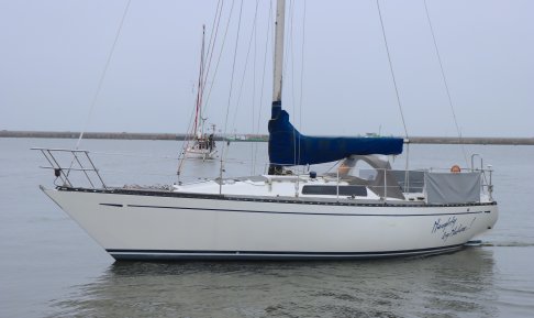 Ufo 31, Zeiljacht for sale by Schepenkring Lelystad