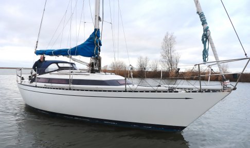 Standfast 33, Segelyacht for sale by Schepenkring Lelystad