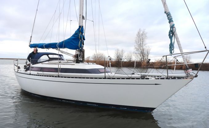 Standfast 33, Sailing Yacht for sale by Schepenkring Lelystad