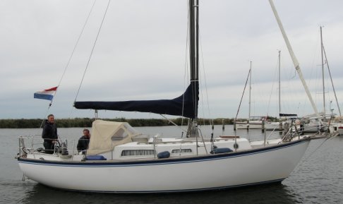 Taling 32, Zeiljacht for sale by Schepenkring Lelystad