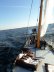 Skutsje Zeilboot