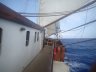 Tallship 3-mast Topsail Schooner
