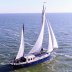 SRF Harlingen Zeillogger