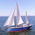 SRF Harlingen Zeillogger