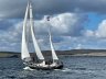 Polar Bear 38 (Dick Zaal)