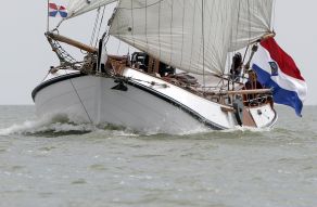 Groote Leeuw Lemsteraak Roefuitvoering