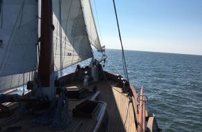 Witte Eend Lemsteraak Roefaak