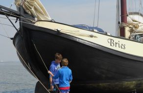 Bries Lemsteraak In Roefuitvoering Roefaak