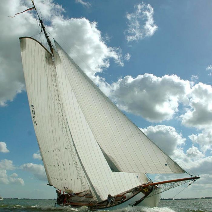 Lemsteraak Roefuitvoering - Wadwaai, Plat- en rondbodem, ex-beroeps zeilend for sale by Chris Beuker Maritiem