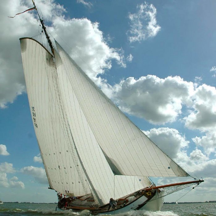 Lemsteraak Roefuitvoering - Wadwaai, Plat- en rondbodem, ex-beroeps zeilend for sale by Chris Beuker Maritiem