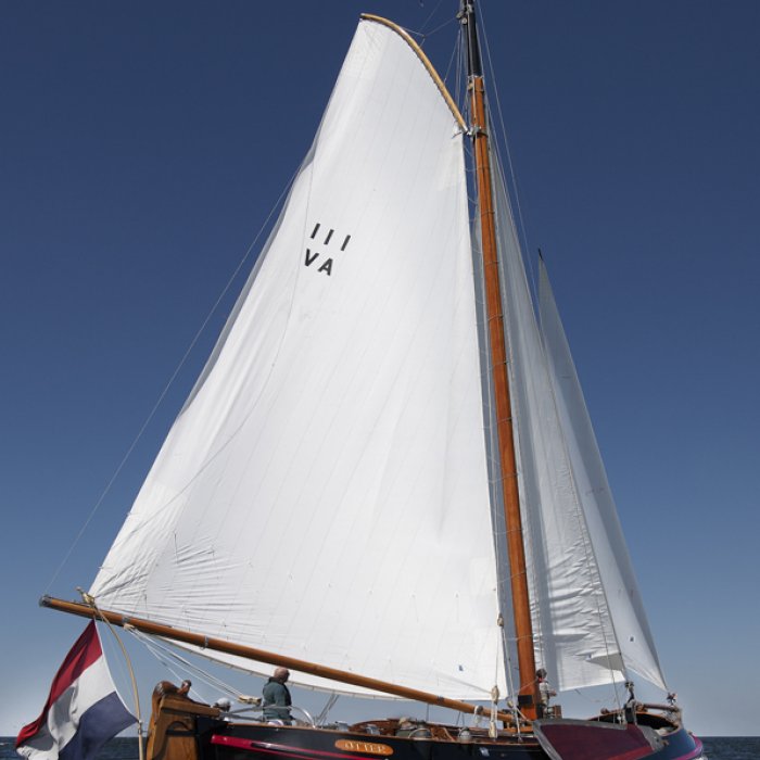 Lemsteraak Otter - Roefuitvoering, Plat- en rondbodem, ex-beroeps zeilend for sale by Chris Beuker Maritiem