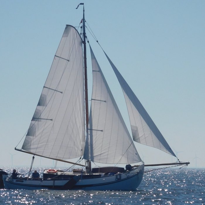 Lemsteraak Roefmodel Dolfijn Blom 1010, Plat- en rondbodem, ex-beroeps zeilend for sale by Chris Beuker Maritiem