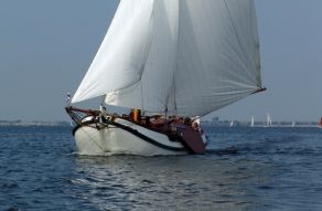 Halley Lemsteraak Roefuitvoering
