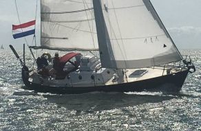 Koopmans Cormoran 31
