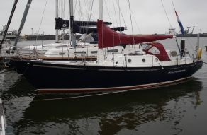 Koopmans Cormoran 31