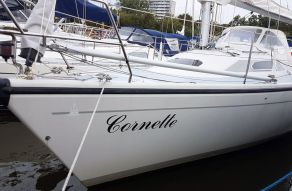 Dehler 31 Nova Top