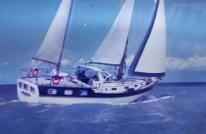 Trintella IV