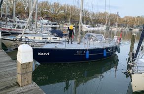Vd Stadt 36 Seal Zeehond