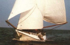 Hoogaars 1350
