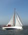 Klassieke S-spant Lumey 785