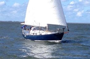Trewes Commodore