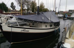 Danish Rose 28