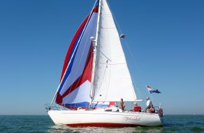 Koopmans 31 NOVA