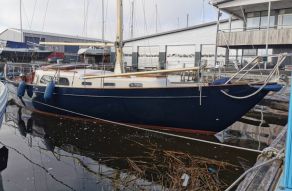 Carena 35