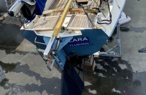 Alcyone Type 1