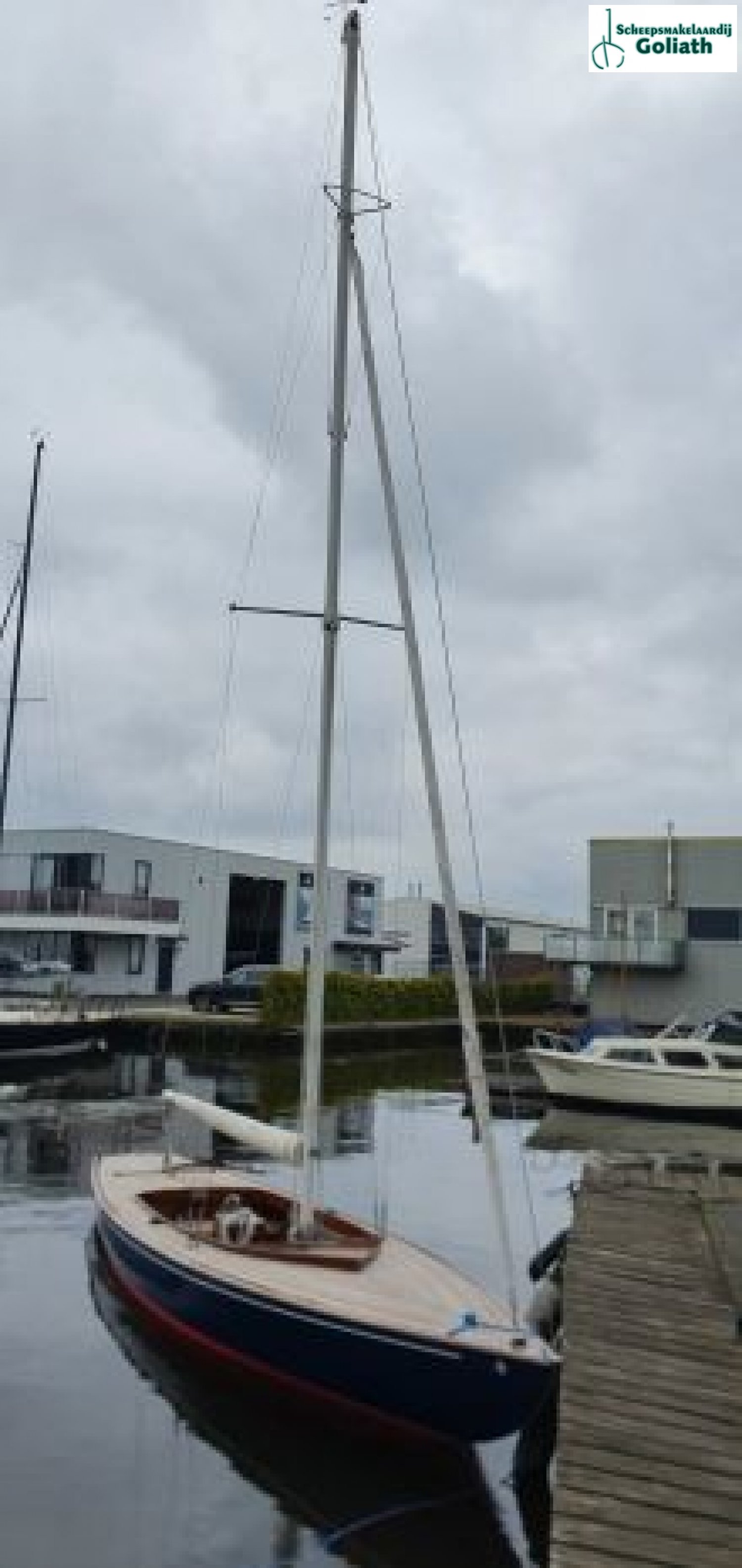 focus 800 sailboat for sale