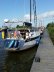 Wibo 1100