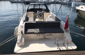 IVY 740