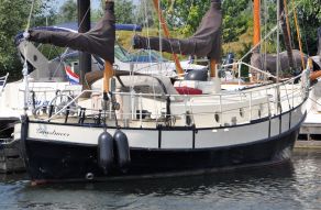 Danish Rose 31