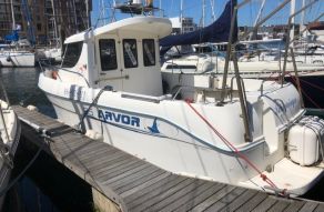 Arvor 25
