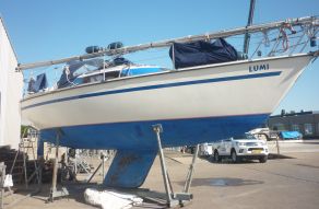 Prospect 900