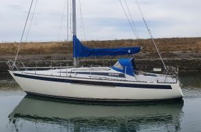 Neptun 31