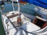 Great Dane 28