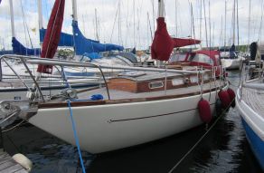 Rebell 31