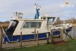 Fisher 38 Trawler
